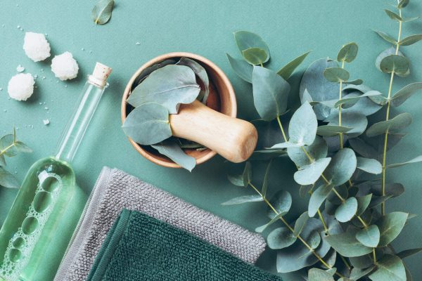 Soap, eucalyptus, towels, massage brush, salt, aroma oil and other spa objects on green background